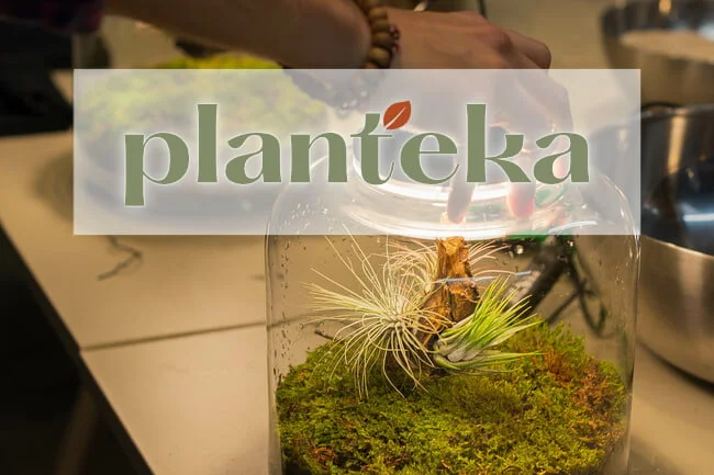 planteka workshop 1