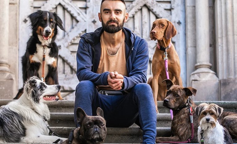 TC Dog Care TC Dog Care