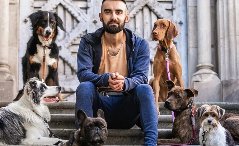 TC Dog Care